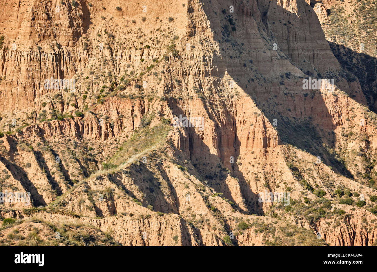 Barrancas de Burujon Burujon (canyons), paysage du gullied.Toledo. Castille-la manche. Espagne Banque D'Images
