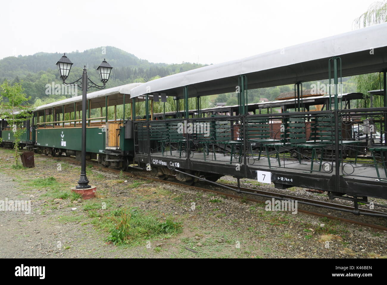 Le train à vapeur à voie étroite en mocanita, Roumanie. Banque D'Images