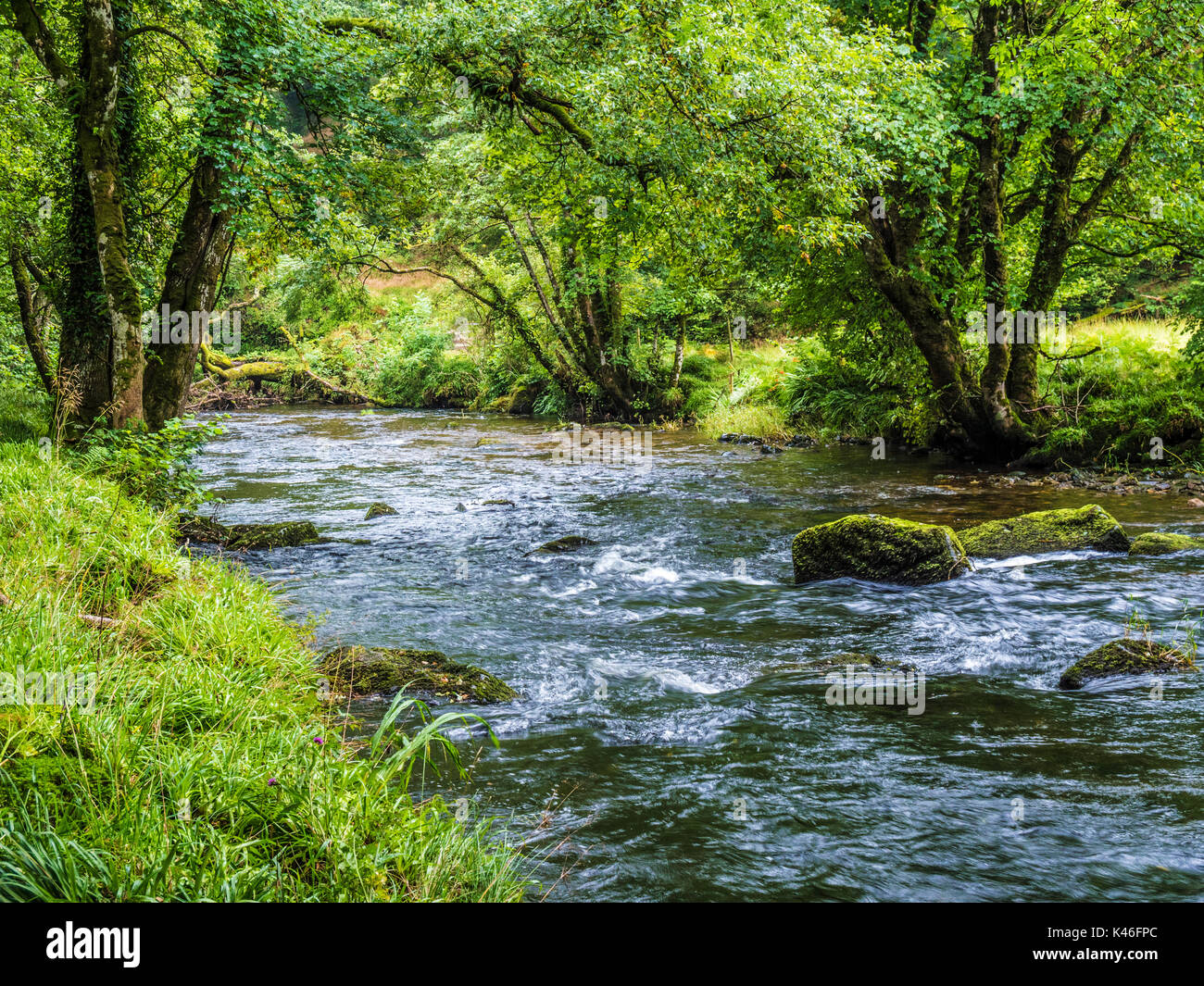 La rivière Barle dans le Parc National d'Exmoor, Somerset. Banque D'Images