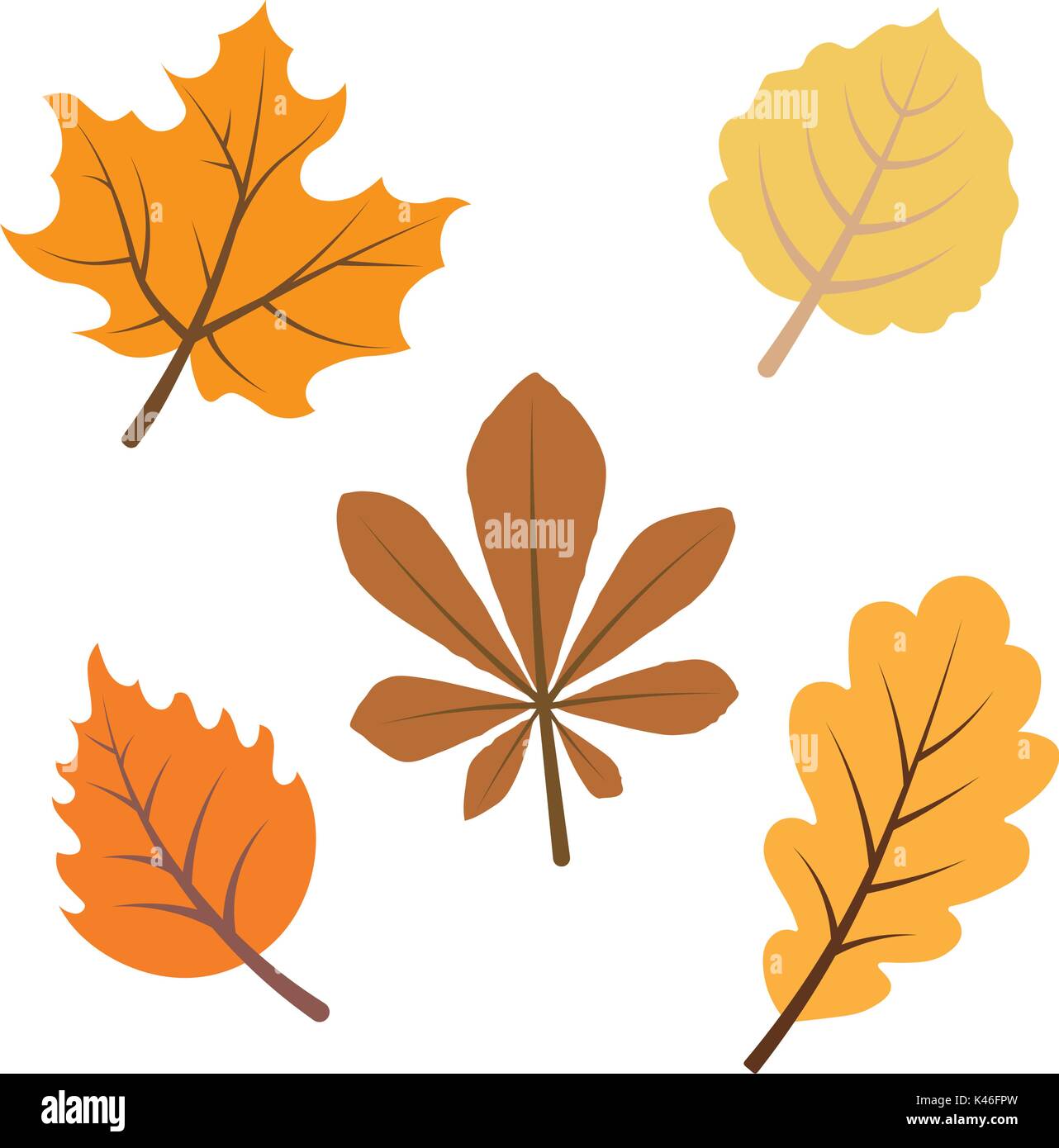 Les feuilles d'automne collection croquis Illustration de Vecteur