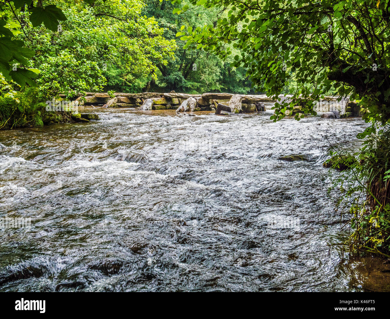 Un jour de pluie à Tarr Steps, le fameux 17-span clapper medival pont traversant la rivière Barle, Exmoor dans le Somerset. Banque D'Images