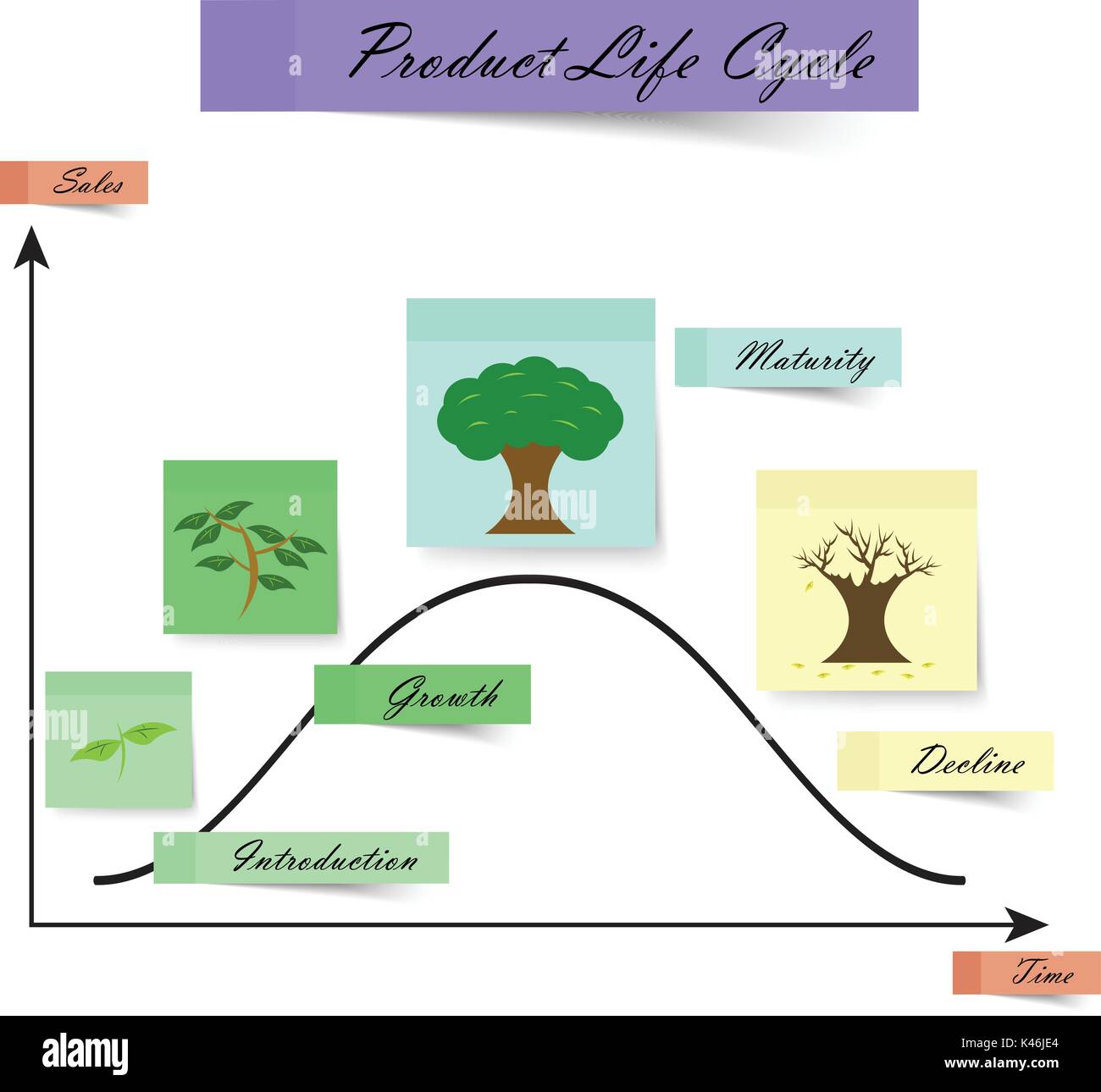 Schéma du cycle de vie des produits pour les entreprises et l'éducation comme les notes colorées avec l'arboriculture quatre étapes, introduction, croissance, maturité, déclin. Illustration de Vecteur