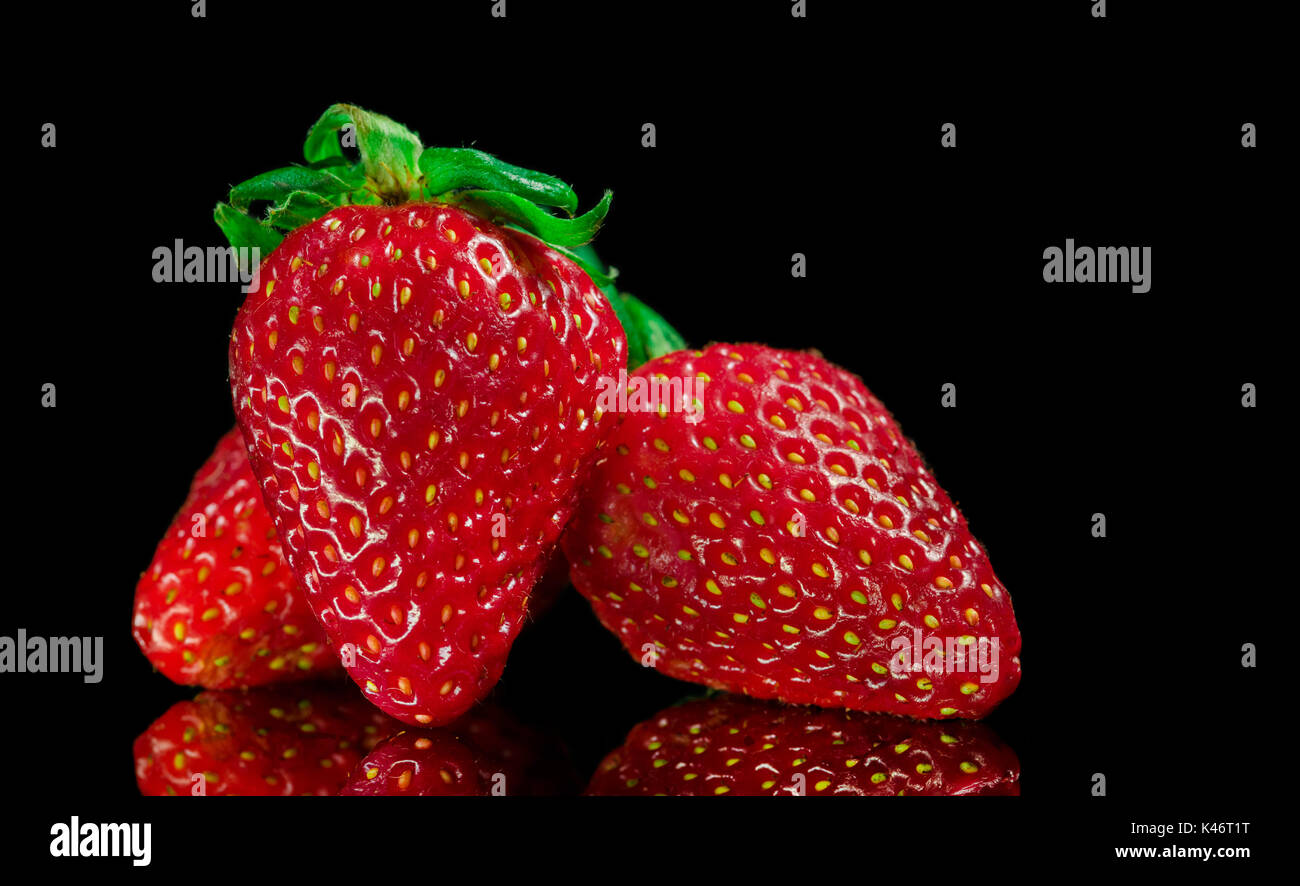 Trois fraises rouge avec feuilles vertes, sur le dessus d'une surface en verre réfléchissant, et fond noir, isolé. Banque D'Images