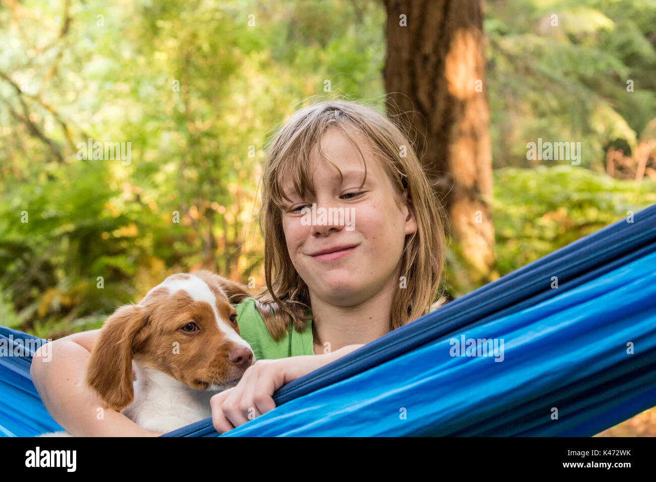 Dix ans, fille, regardant ses deux mois Épagneul Breton 'Archie' qui est au repos dans un hamac, à Issaquah, Washington, USA Banque D'Images