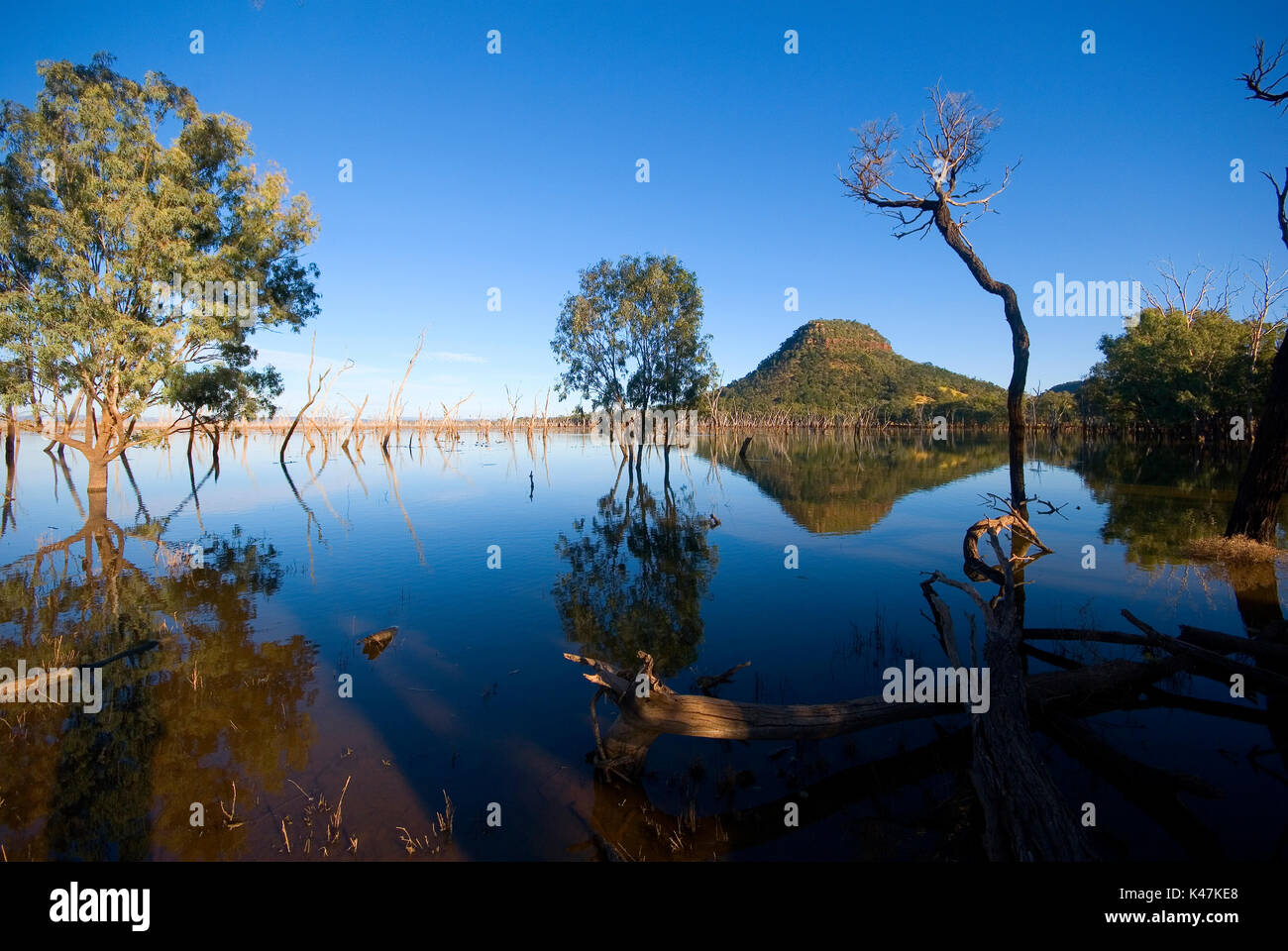 L'Australie, Queensland central, le lac Nuga Nuga Parc National. Le plus grand plan d'eau naturel dans le centre du Queensland, courroie de grès Lake Nuga N Banque D'Images