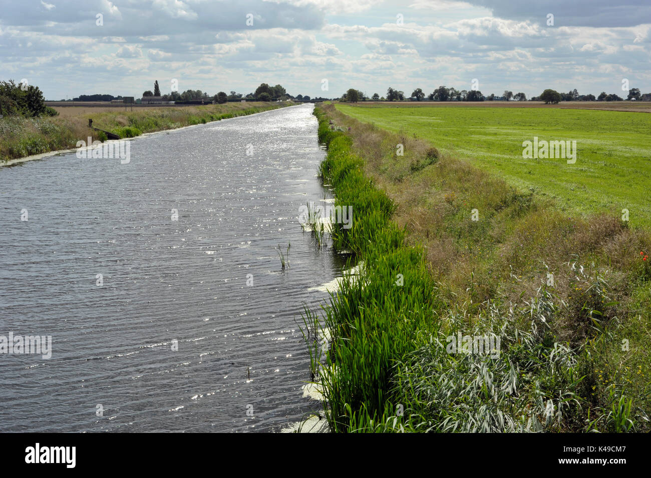 Canal de drainage Fenland et le paysage agricole à seize pieds Bank près de Mars dans le Cambridgeshire, Royaume-Uni. Banque D'Images
