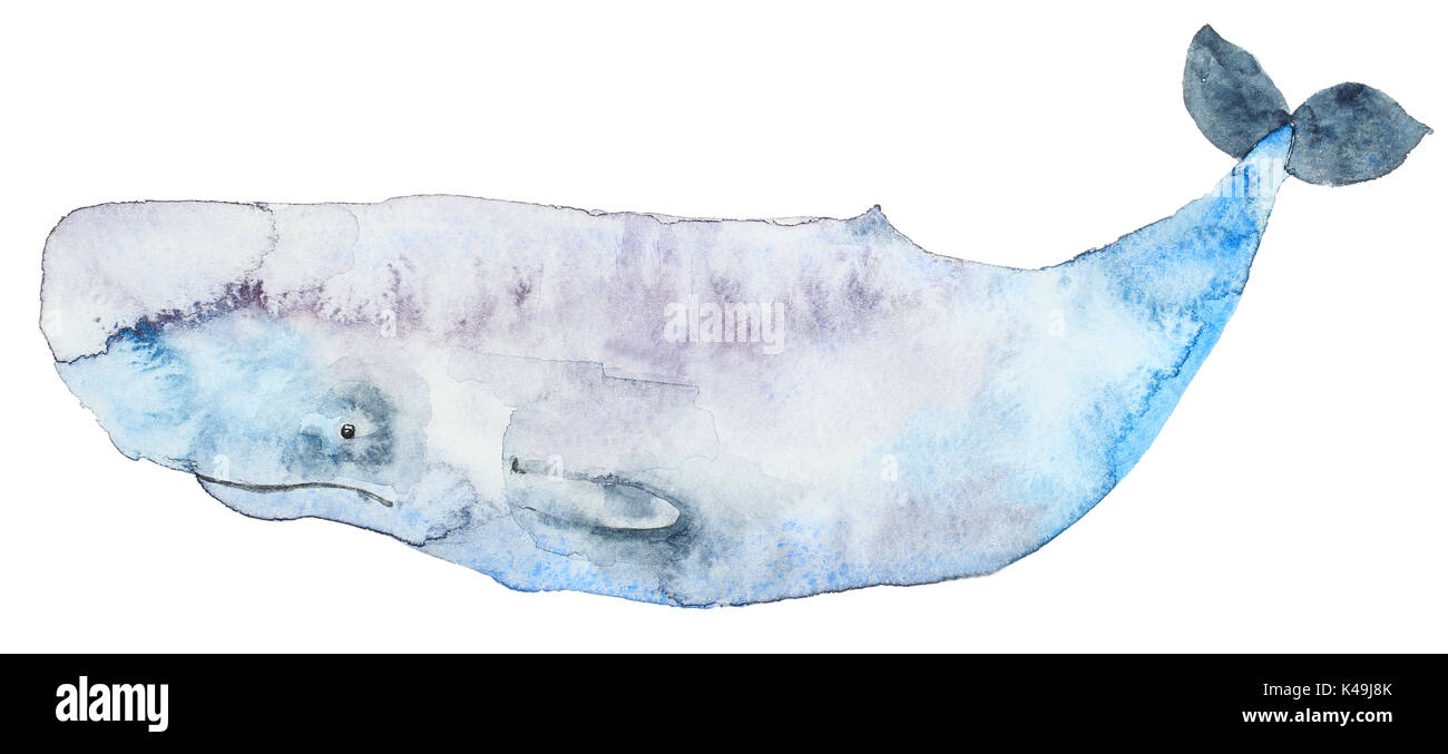 Rorqual bleu aquarelle Banque D'Images