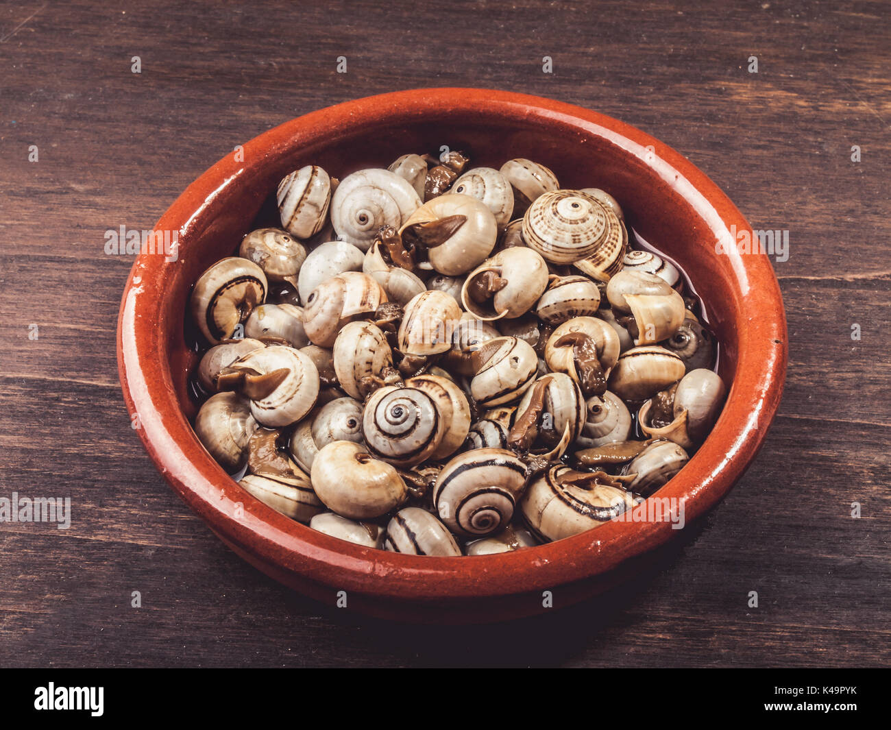 Escargots cuisinés, Escargots, Rustique servi Tapa typiquement espagnol Banque D'Images