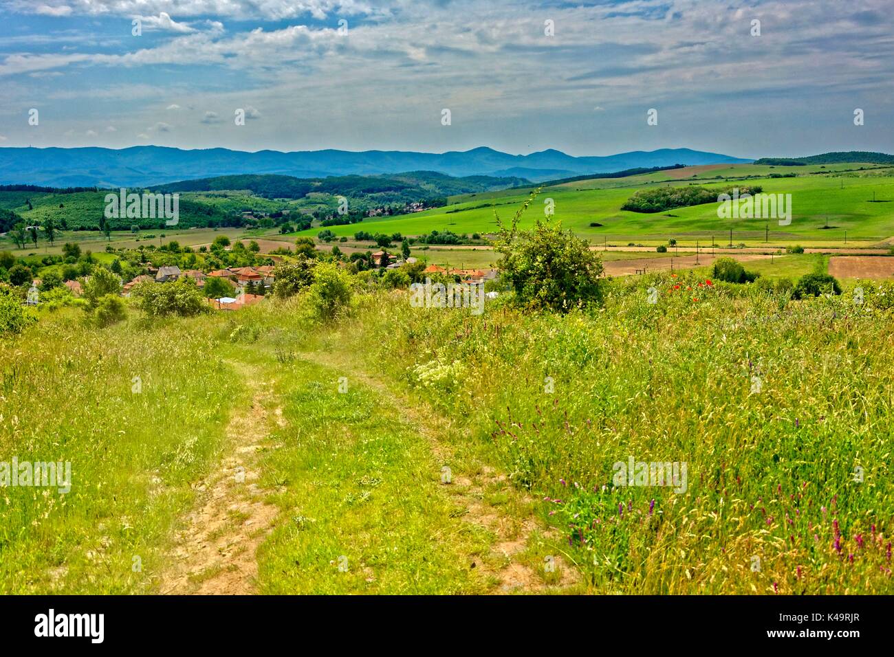 Paysage avec chemin de campagne et la communauté Banque D'Images