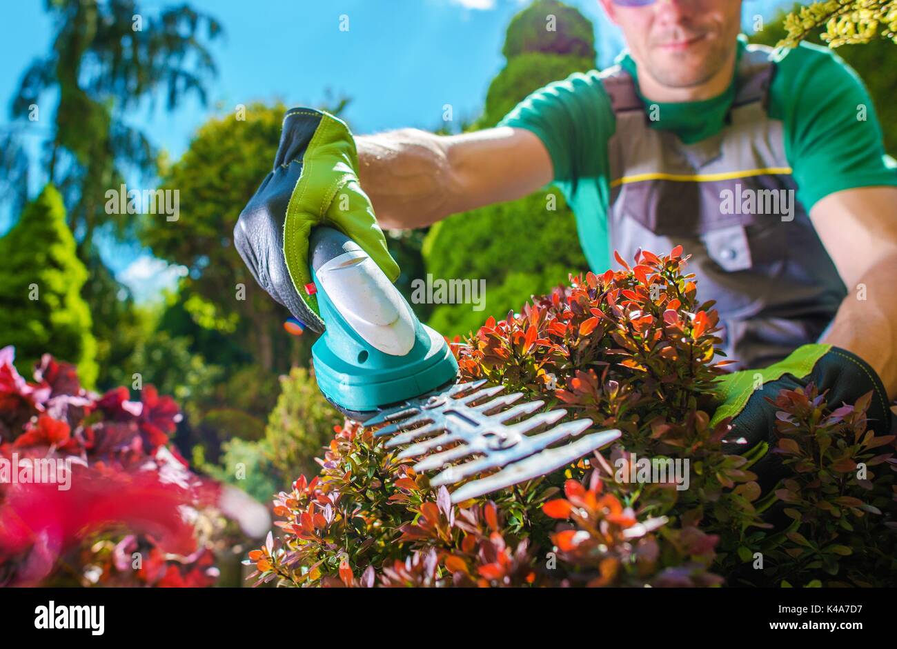 Plantes de jardin de rognage. Les hommes de race blanche à l'aide de plantes de jardin de rocaille de fraisage fraise électrique. Banque D'Images