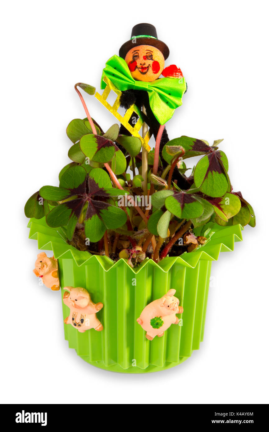 Lucky Clover Banque D'Images