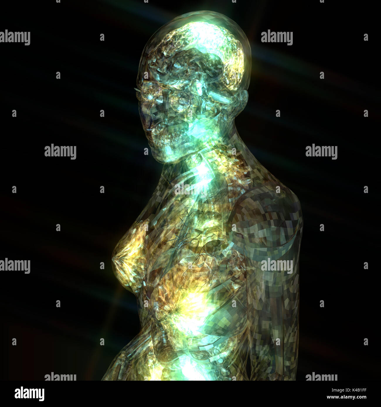 Illustration 3D d'une anatomie humaine Banque D'Images