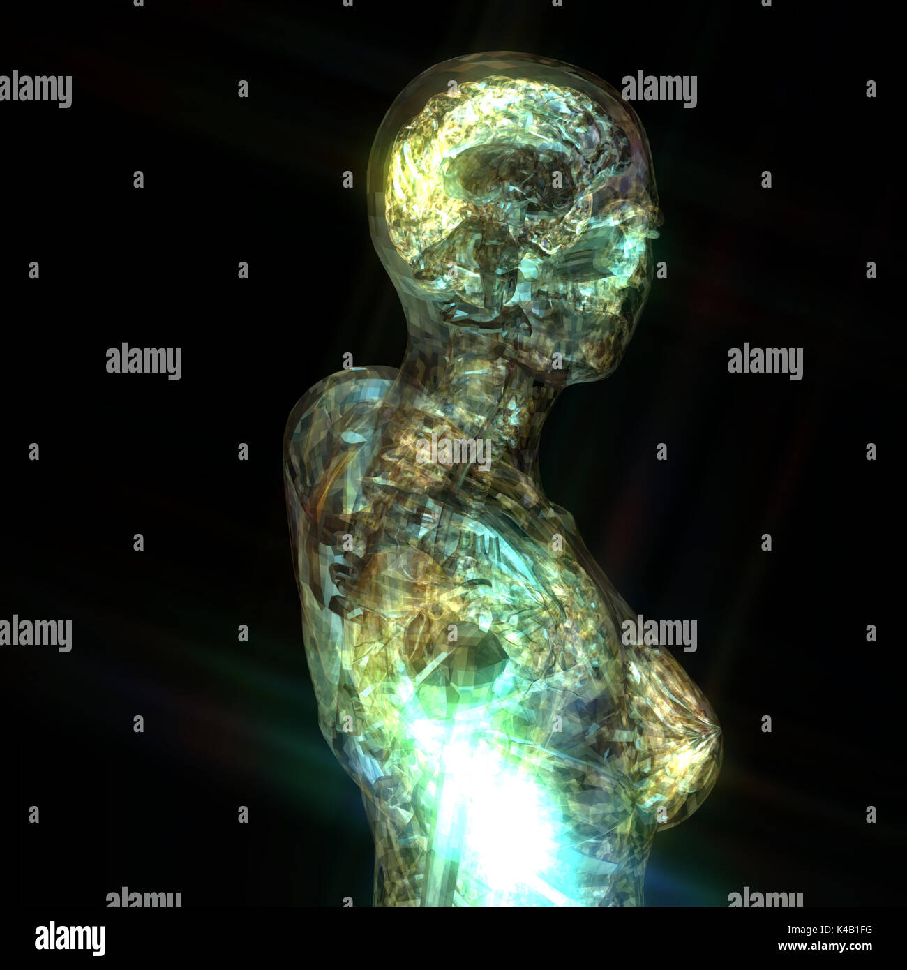 Illustration 3D d'une anatomie humaine Banque D'Images