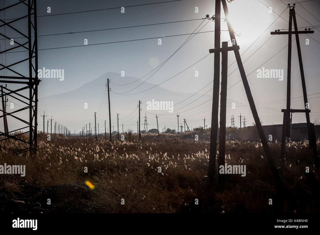 Paysage en face du Mont Ararat entre Erevan et le monastère de Kkor Virap, en Arménie. Banque D'Images