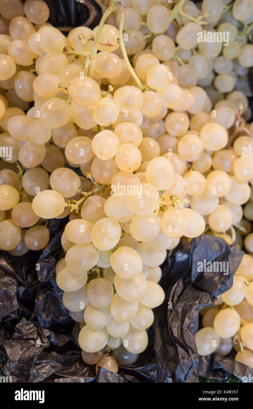 Bouquet de raisin blanc Banque D'Images