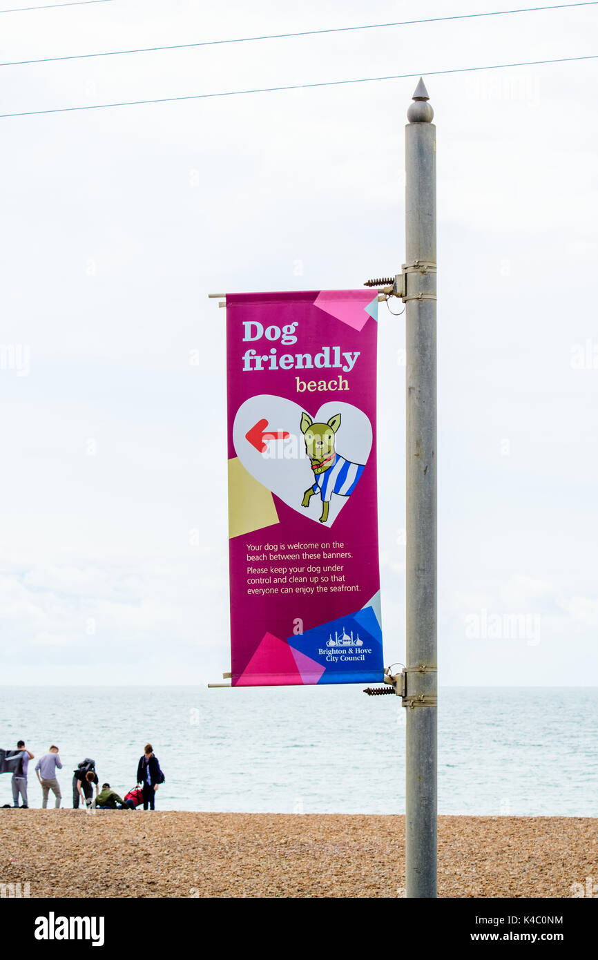 Dog friendly beach à Brighton Sussex Banque D'Images