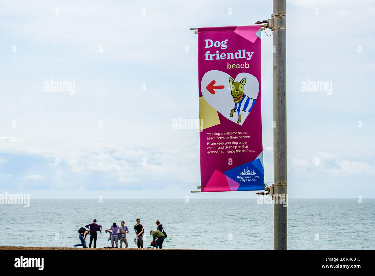 Dog friendly beach à Brighton Sussex Banque D'Images