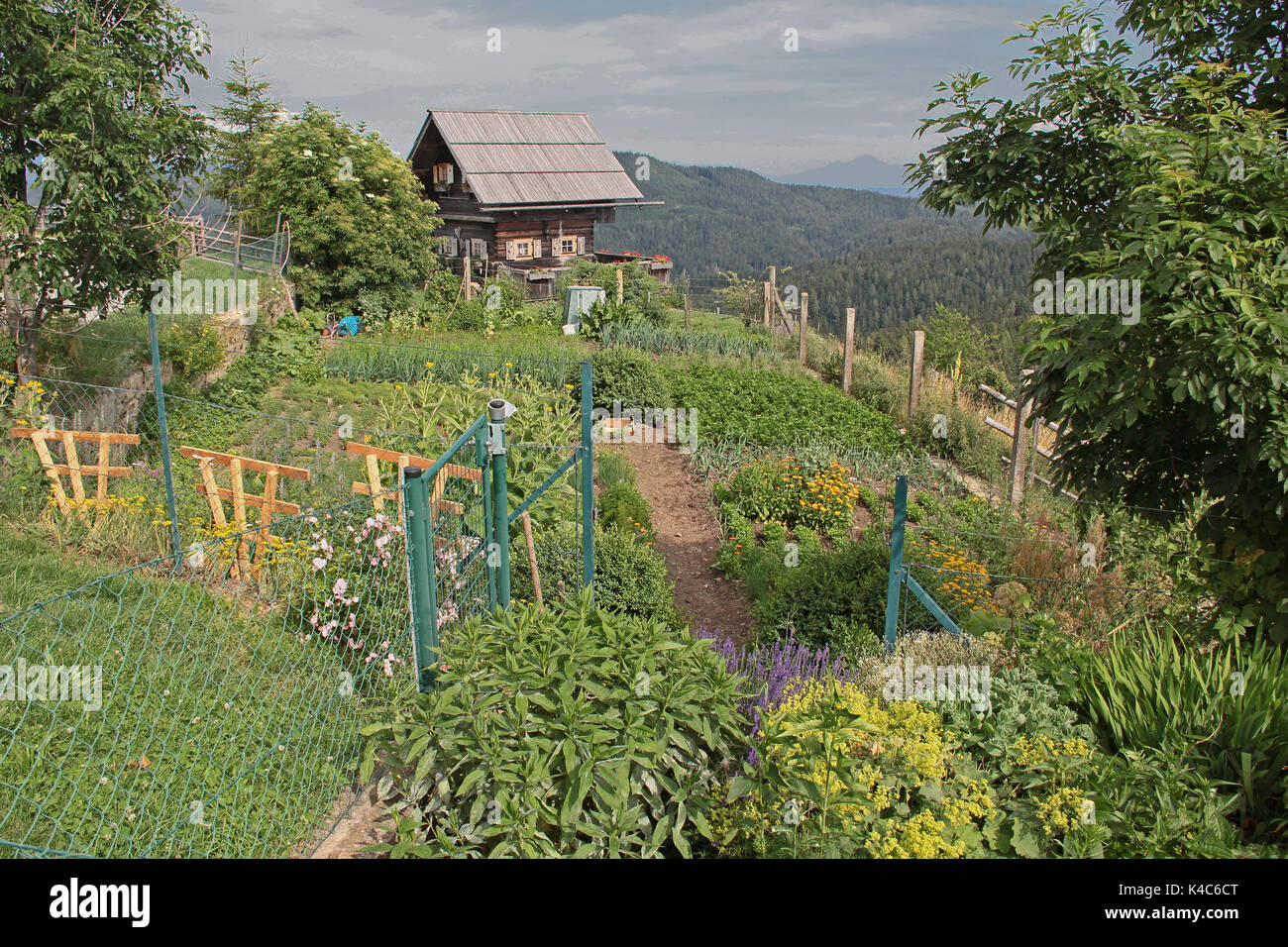 Jardin potager sur montagne en Carinthie en Autriche Banque D'Images