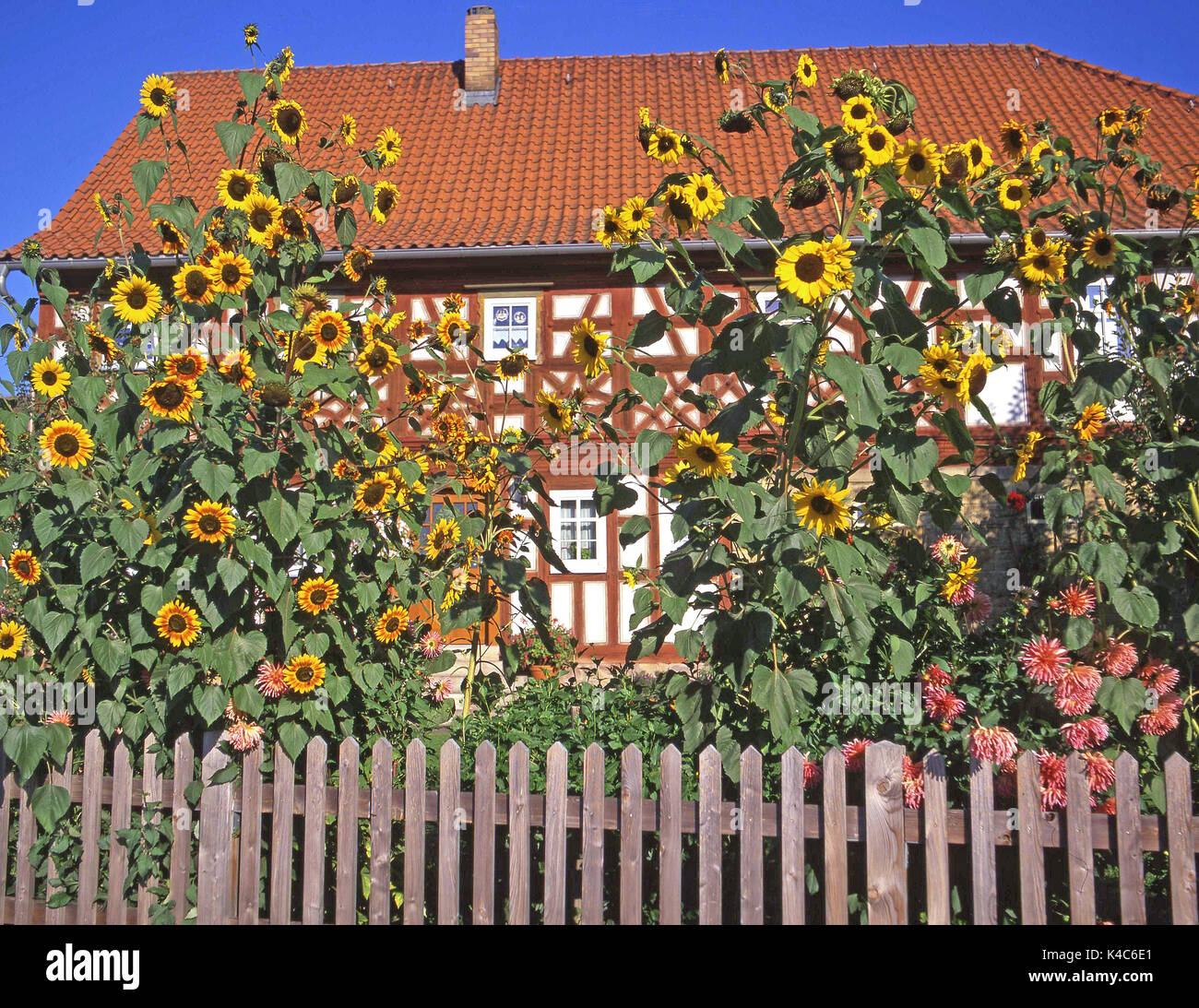 Maison de ferme avec gîte rural dans la région de Franconia, Bavaria, Germany Banque D'Images