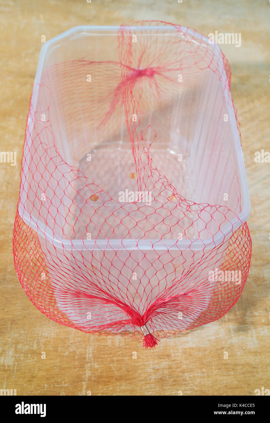 Fruit vide Boîte en plastique avec Net Banque D'Images