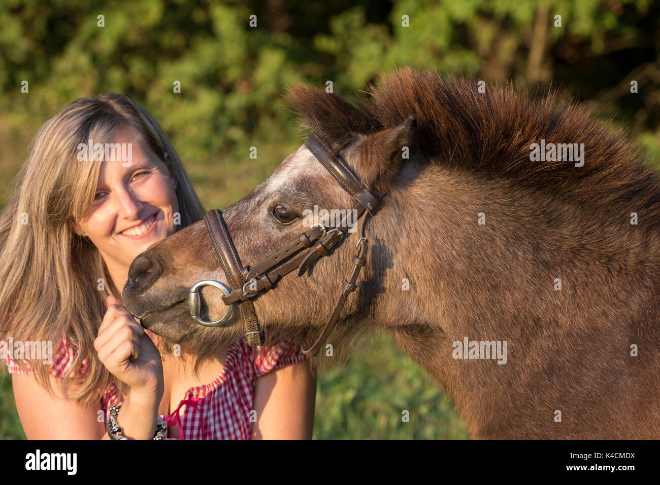 Laughing Young Blonde Woman taquine Brown poney Shetland en face de végétation verte Banque D'Images