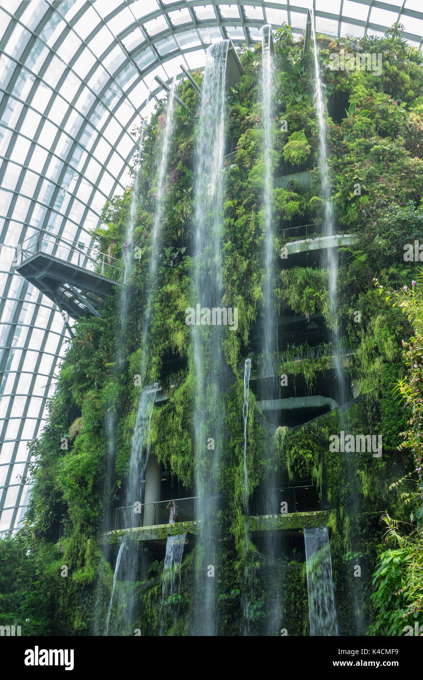 Plus grande cascade dans une serre, Cloud Forest, jardins de la baie, à  Singapour Photo Stock - Alamy