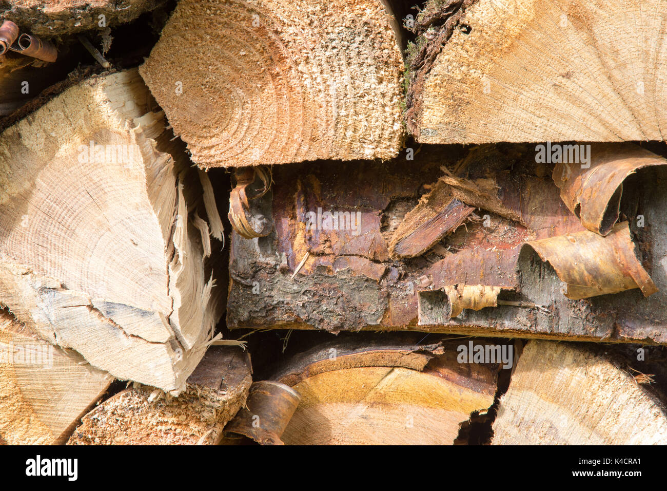 L'hématine fraîchement fendu et empilé (bois de feuillus principalement). source d'énergie renouvelable. 42 images photographiées à partir d'une gamme de distances et d'angles. Banque D'Images