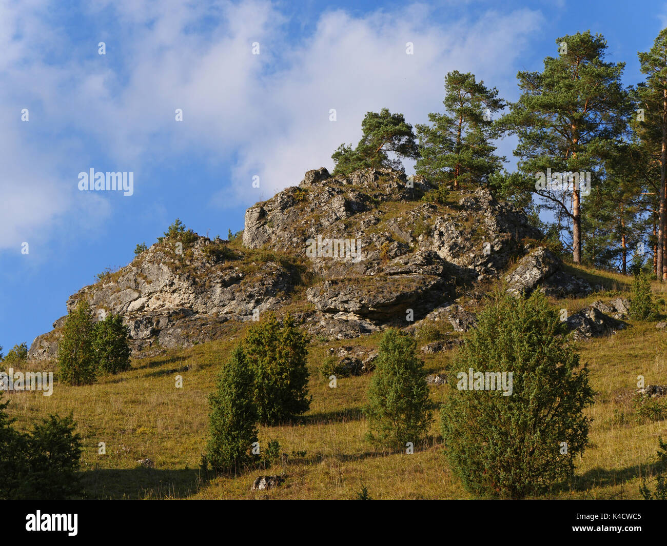 Paysage avec des roches dans Kleinziegenfeld, vallée de l'Alb franconien, la Suisse franconienne, Haute-Franconie Banque D'Images