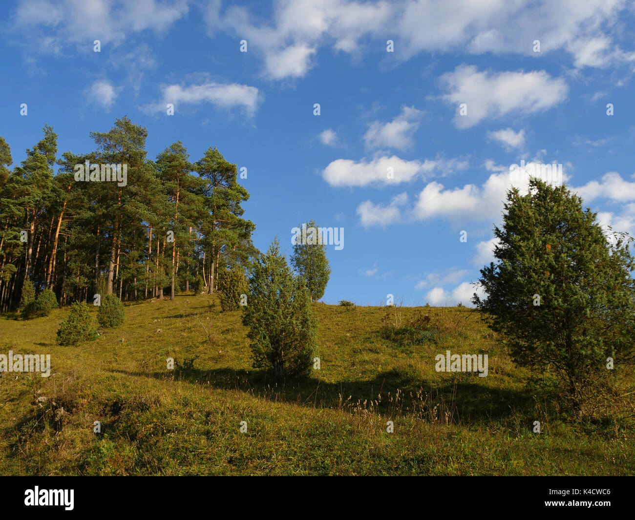 Paysage en Suisse franconienne, Alb franconien, Haute-Franconie Banque D'Images