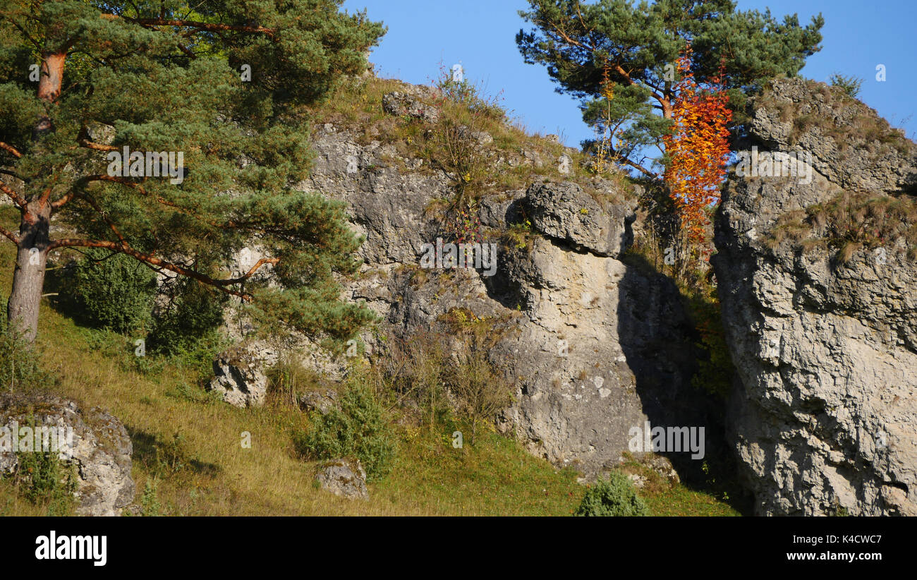 Paysage avec des roches dans Kleinziegenfeld, vallée de l'Alb franconien, la Suisse franconienne, Haute-Franconie Banque D'Images