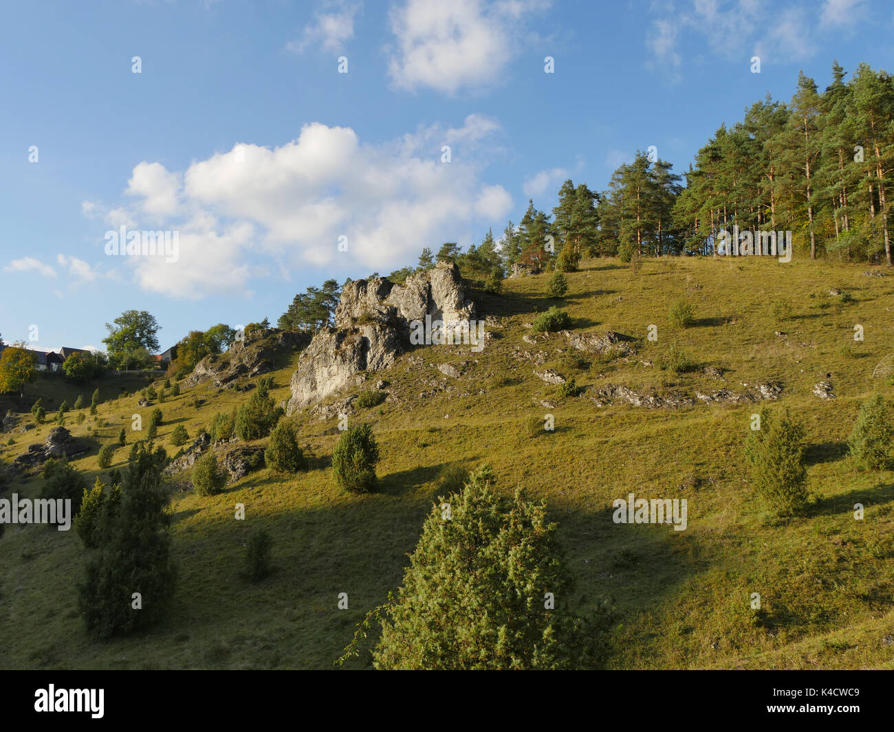 Paysage avec des roches dans Kleinziegenfeld, vallée de l'Alb franconien, la Suisse franconienne, Haute-Franconie Banque D'Images