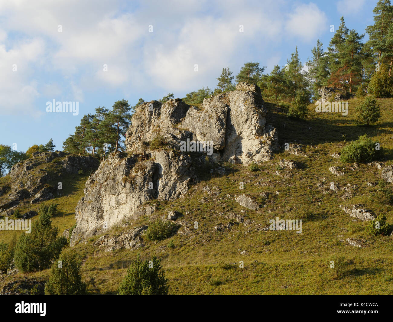 Paysage avec des roches dans Kleinziegenfeld, vallée de l'Alb franconien, la Suisse franconienne, Haute-Franconie Banque D'Images