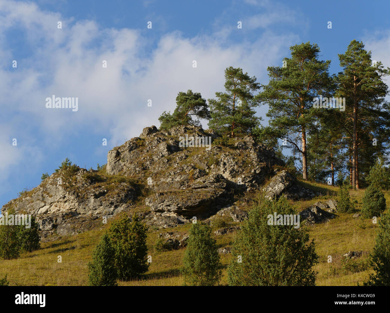 Paysage avec des roches dans Kleinziegenfeld, vallée de l'Alb franconien, la Suisse franconienne, Haute-Franconie Banque D'Images