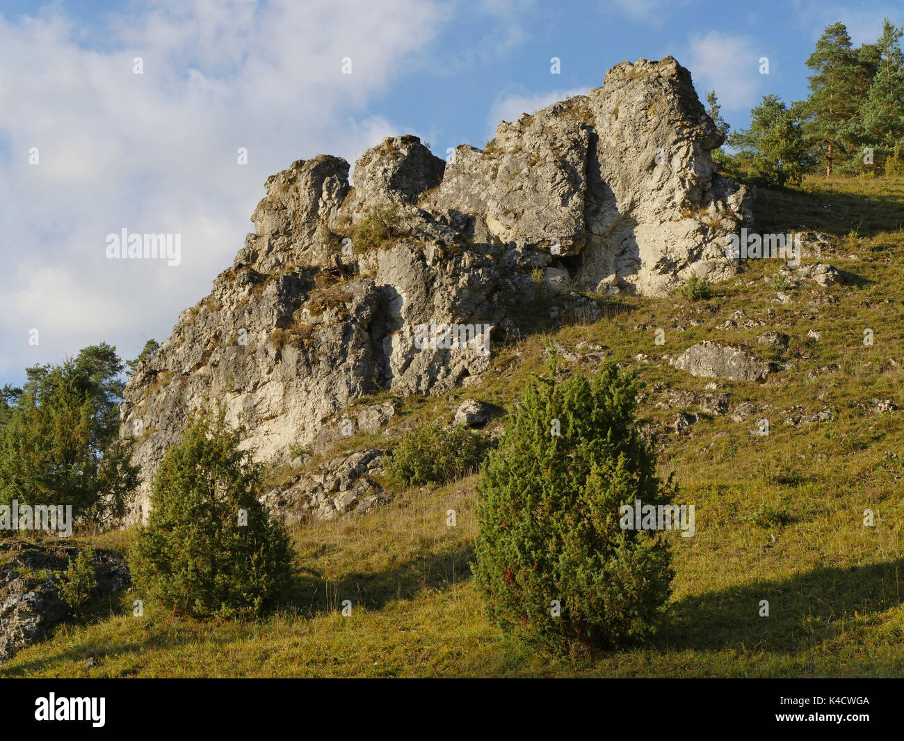 Paysage avec des roches dans Kleinziegenfeld, vallée de l'Alb franconien, la Suisse franconienne, Haute-Franconie Banque D'Images