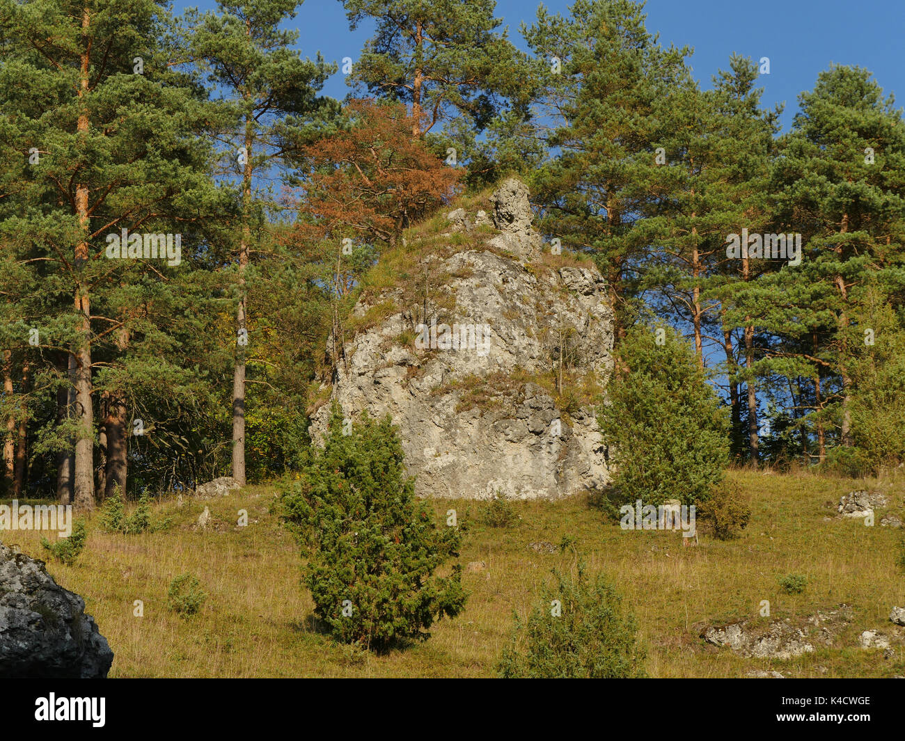Paysage avec des roches dans kleinziegenfeld, vallée de l'alb franconien, la Suisse franconienne, haute-franconie Banque D'Images