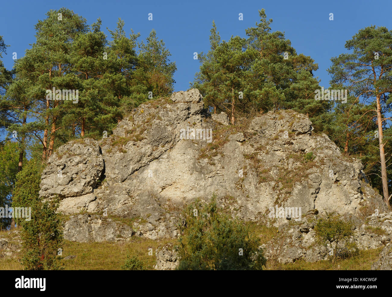 Paysage avec des roches dans Kleinziegenfeld, vallée de l'Alb franconien, la Suisse franconienne, Haute-Franconie Banque D'Images