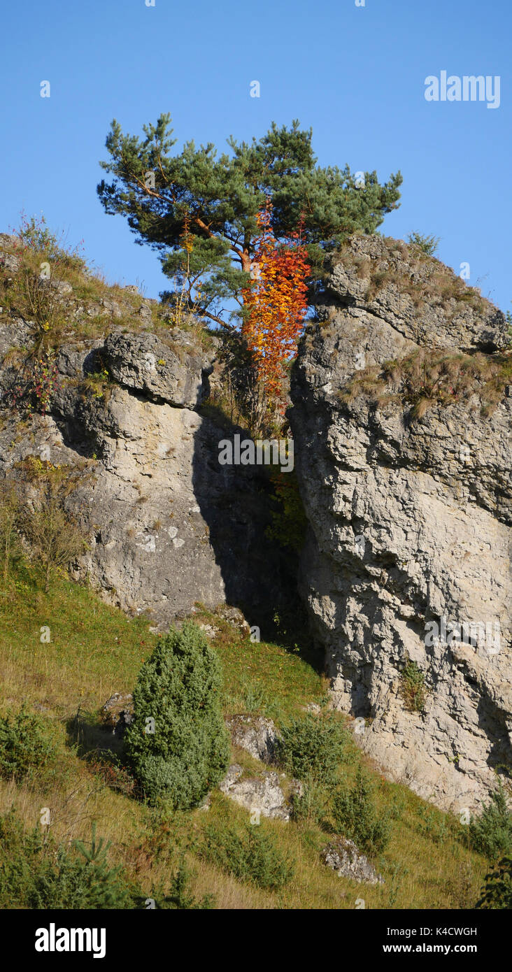 Paysage avec des roches dans Kleinziegenfeld, vallée de l'Alb franconien, la Suisse franconienne, Haute-Franconie Banque D'Images