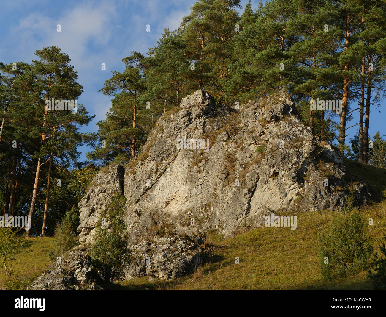 Paysage avec des roches dans Kleinziegenfeld, vallée de l'Alb franconien, la Suisse franconienne, Haute-Franconie Banque D'Images