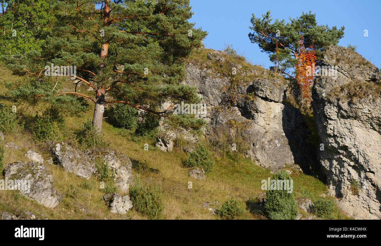 Paysage avec des roches dans kleinziegenfeld, vallée de l'alb franconien, la Suisse franconienne, haute-franconie Banque D'Images