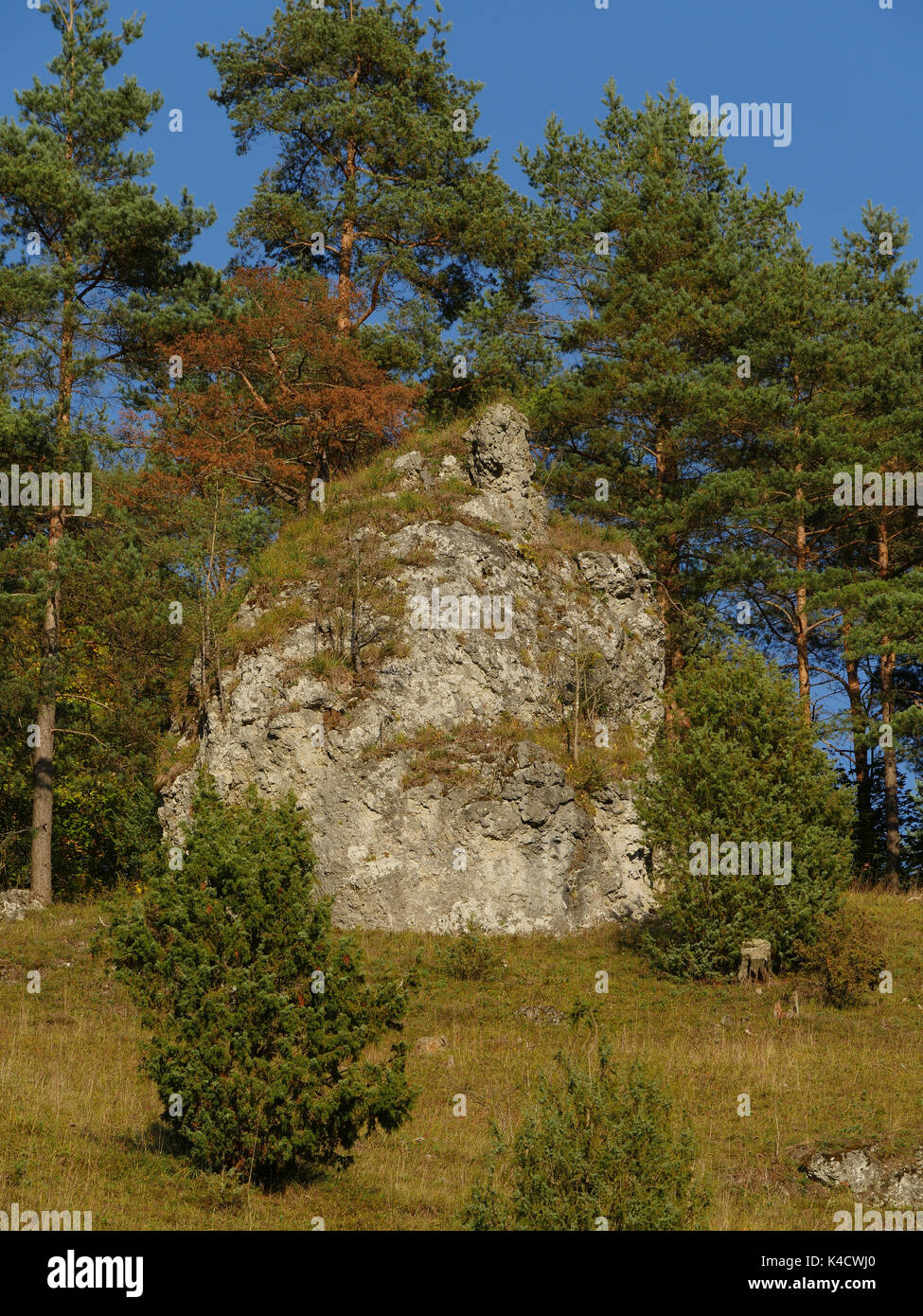 Paysage avec des roches dans Kleinziegenfeld, vallée de l'Alb franconien, la Suisse franconienne, Haute-Franconie Banque D'Images