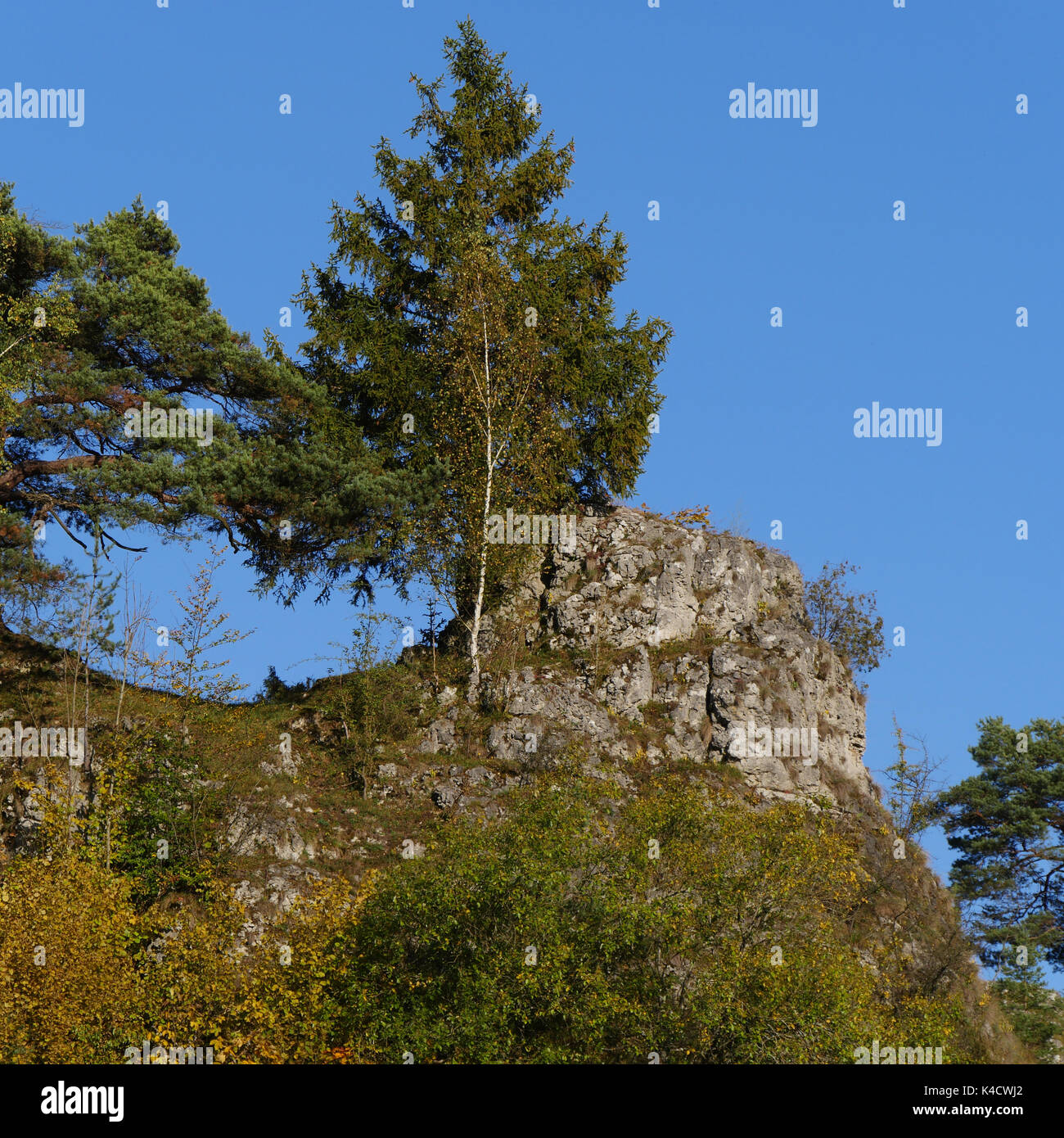Paysage avec des roches dans Kleinziegenfeld, vallée de l'Alb franconien, la Suisse franconienne, Haute-Franconie Banque D'Images