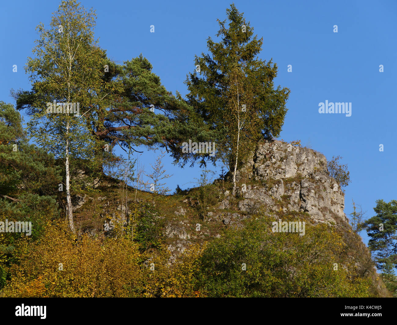 Paysage avec des roches dans kleinziegenfeld, vallée de l'alb franconien, la Suisse franconienne, haute-franconie Banque D'Images