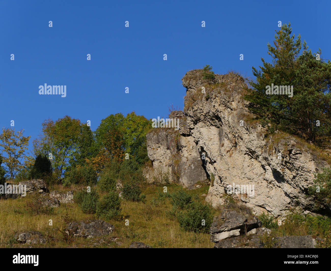 Paysage avec des roches dans Kleinziegenfeld, vallée de l'Alb franconien, la Suisse franconienne, Haute-Franconie Banque D'Images
