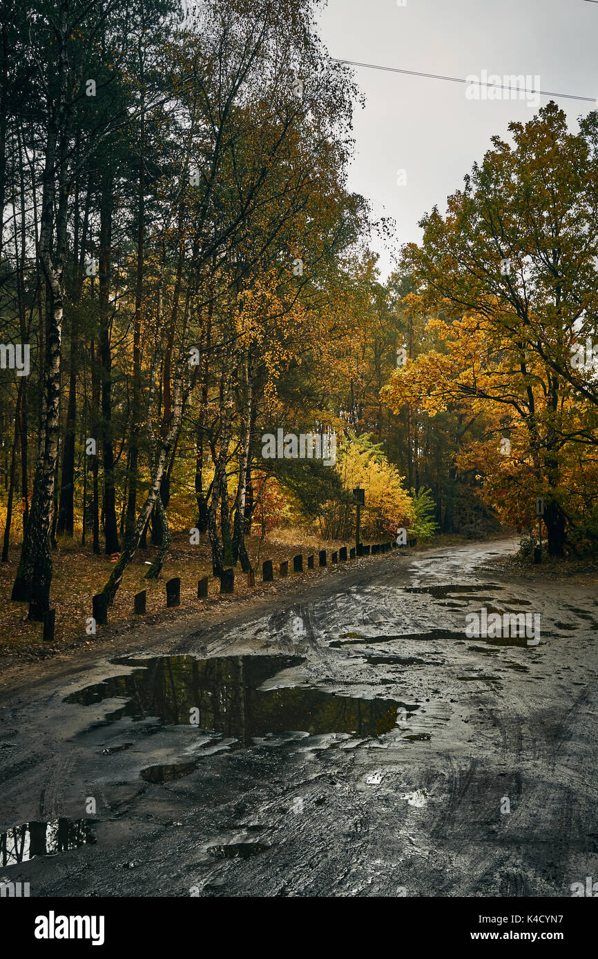 Route boueuse en automne forrest Banque D'Images