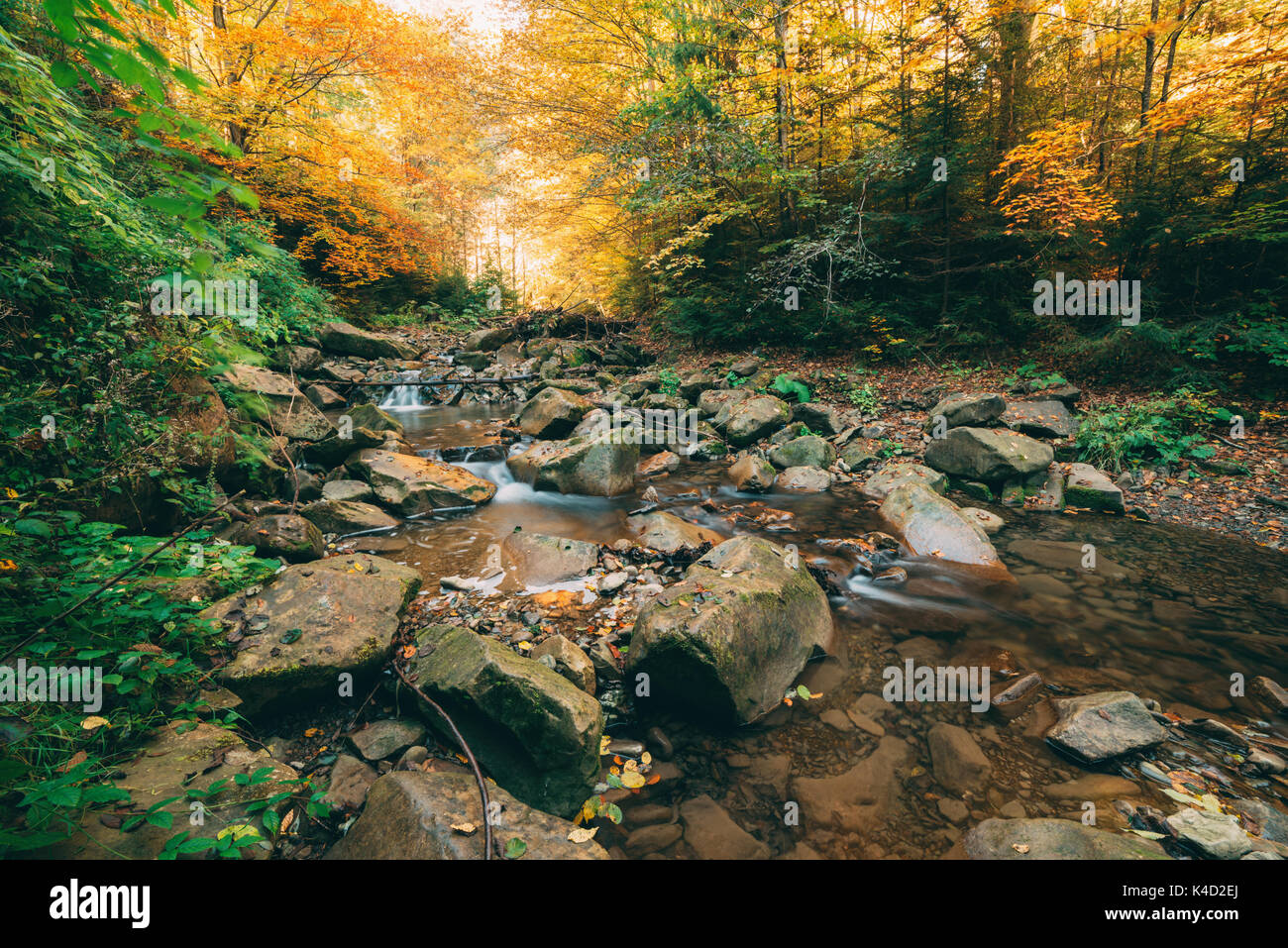 Petite cascade dans la forêt d'automne Banque D'Images