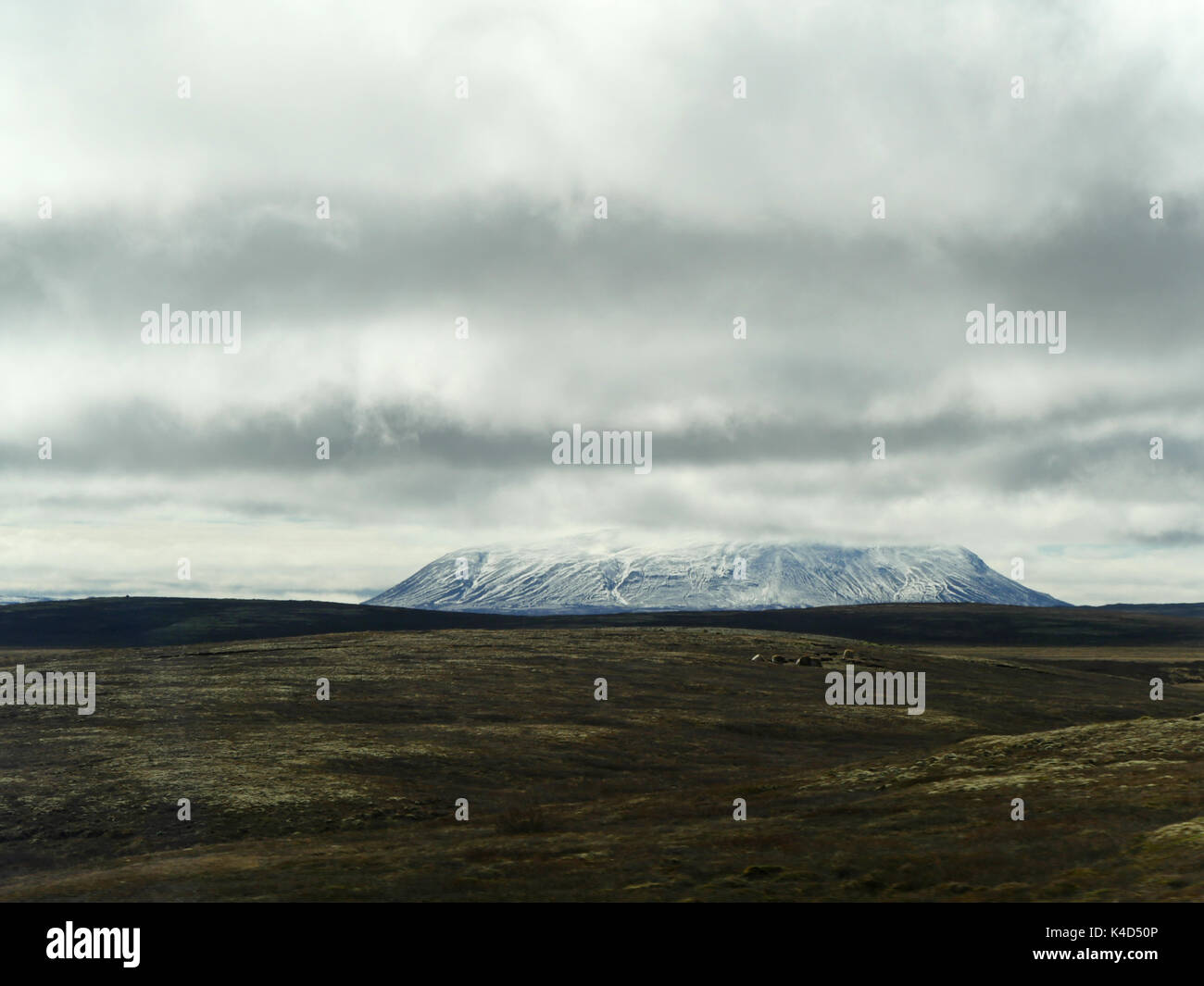 L'Islande, sur une montagne et de la mousse des pierres de lave et des sols cultivés à perte de vue, au nord-est de l'Islande à la région de Myvatn Banque D'Images