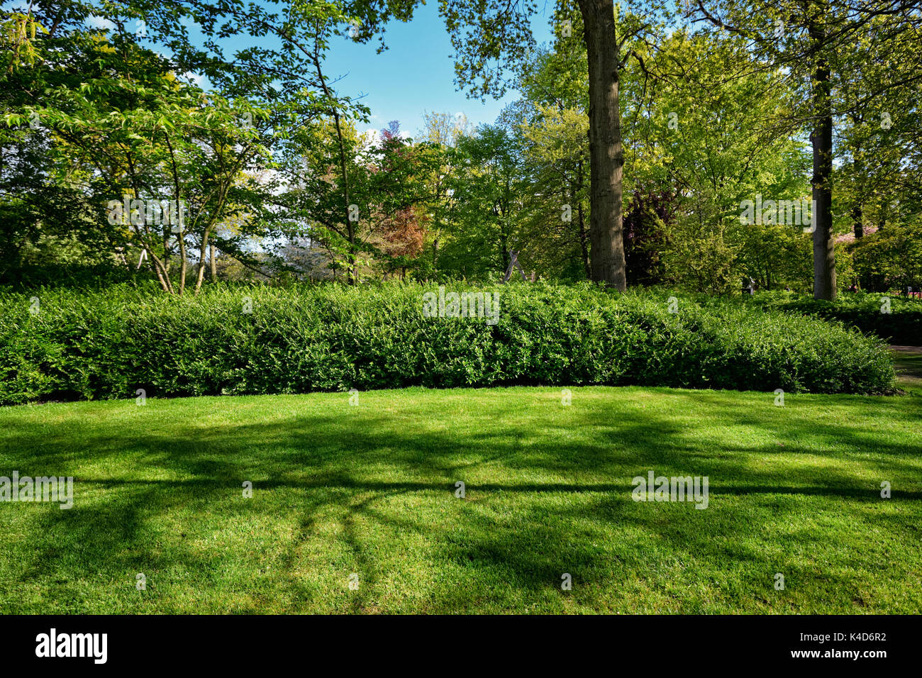 Pelouse verte en jardin de fleurs Keukenhof, Pays-Bas Banque D'Images