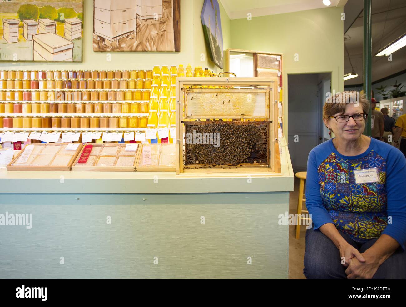 Un apiculteur est assis à côté d'une ruche d'abeilles sur l'affichage à la foire de l'État du Minnesota à St Paul, MN, USA. Banque D'Images