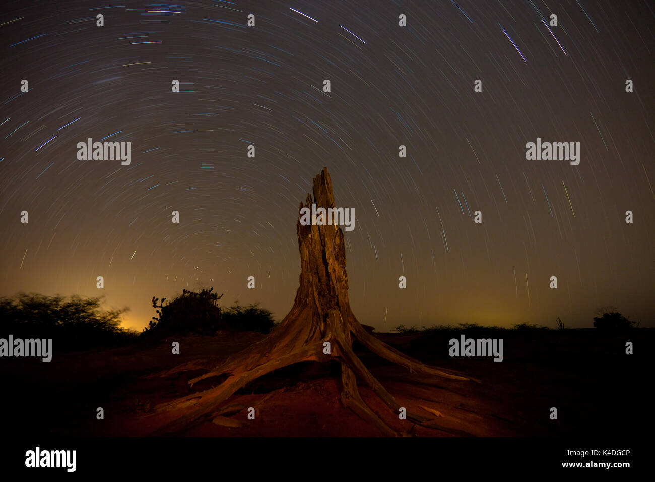 Le paysage du désert du Panama et les étoiles de nuit dans le parc national de Sarigua, province de Herrera, République du Panama, Amérique centrale Banque D'Images