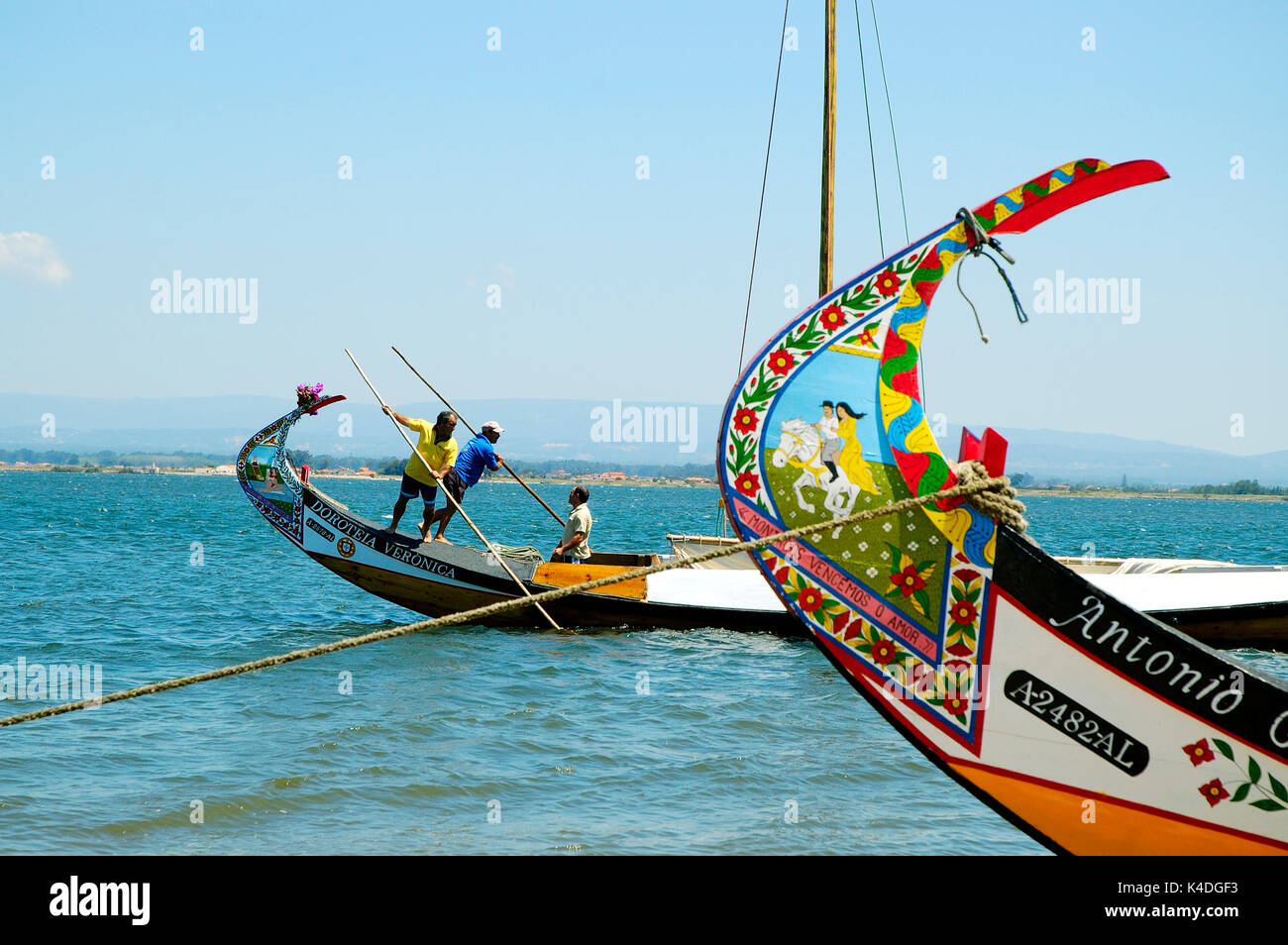 Régate de bateaux traditionnels moliceiros,, de la rivière (Aveiro) Ria de Aveiro, Portugal Esposende. Banque D'Images